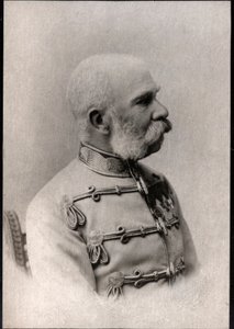 Ritratto di Francesco Giuseppe I (1830-1916), Imperatore d